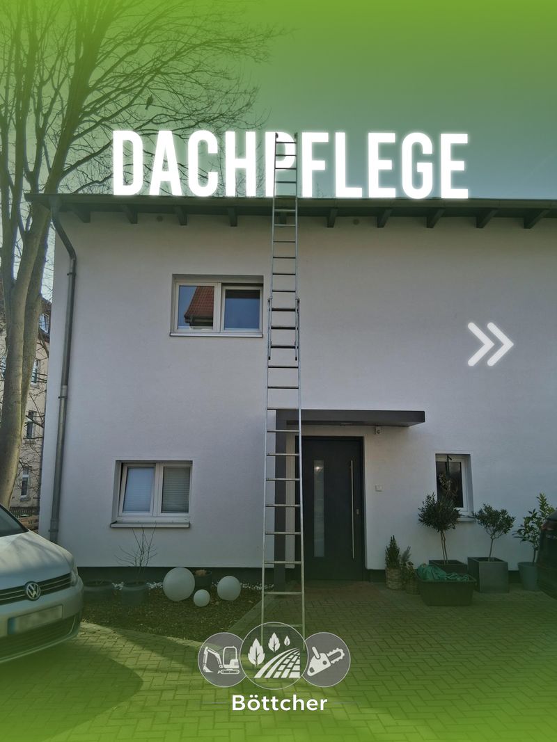 Leiter an der Fassade eines Einfamilienhauses während der Dachpflege