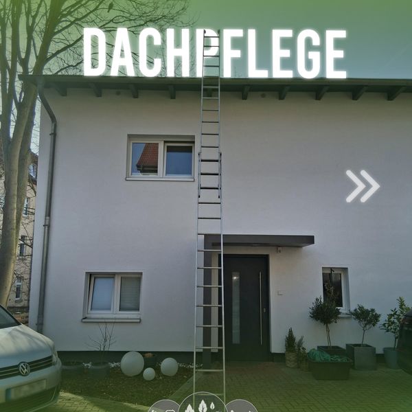 Instagram-Beitrag: Dachpflege am Wohnhaus